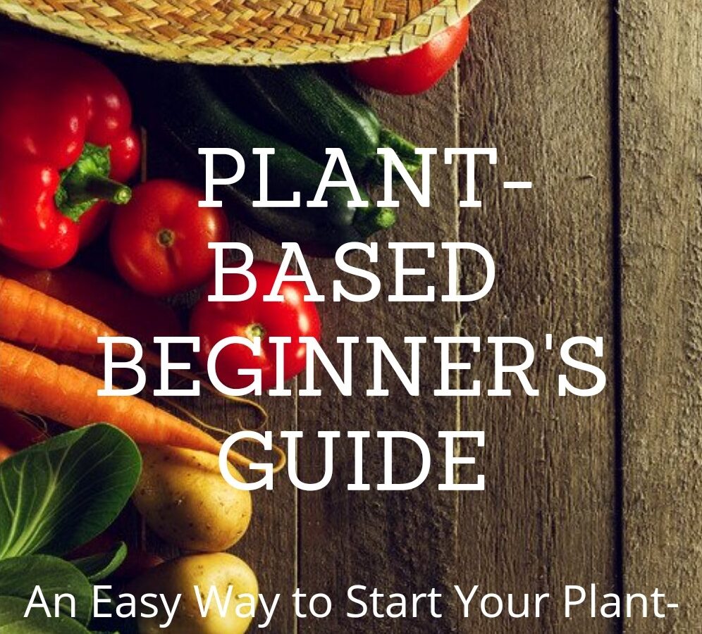 The Plant Based Beginner’s Guide
